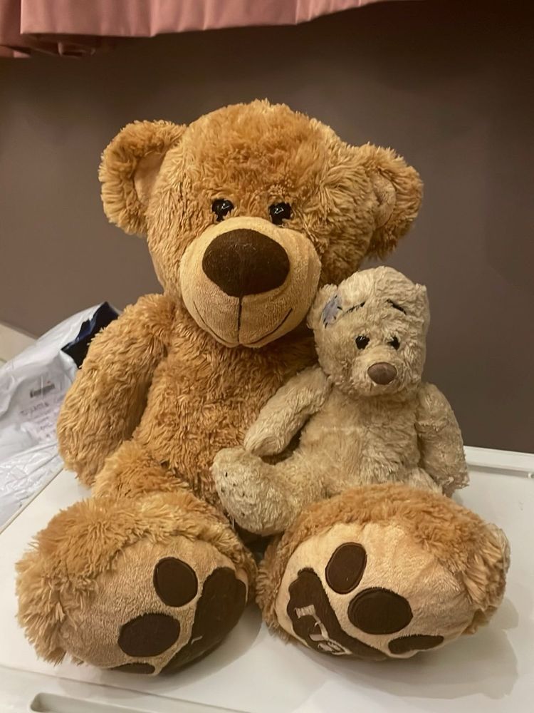 Combo Of Teddy Bear 🧸