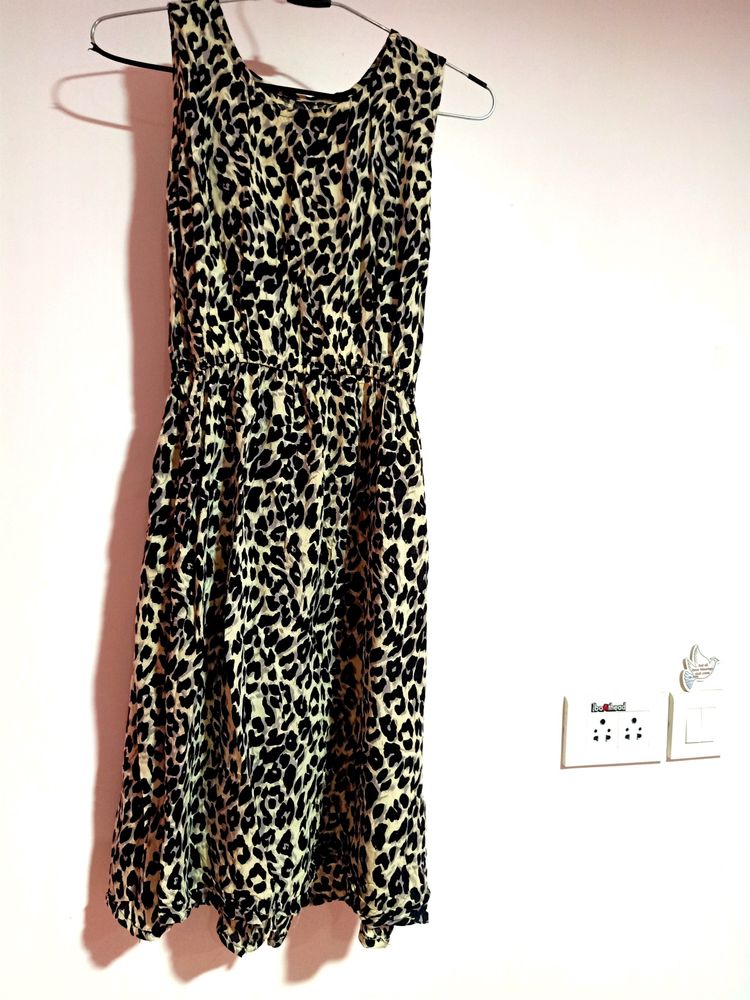 Leopard Print Dress