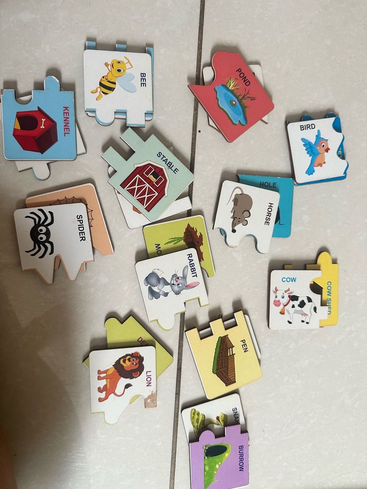 Animals And Their Home Puzzle