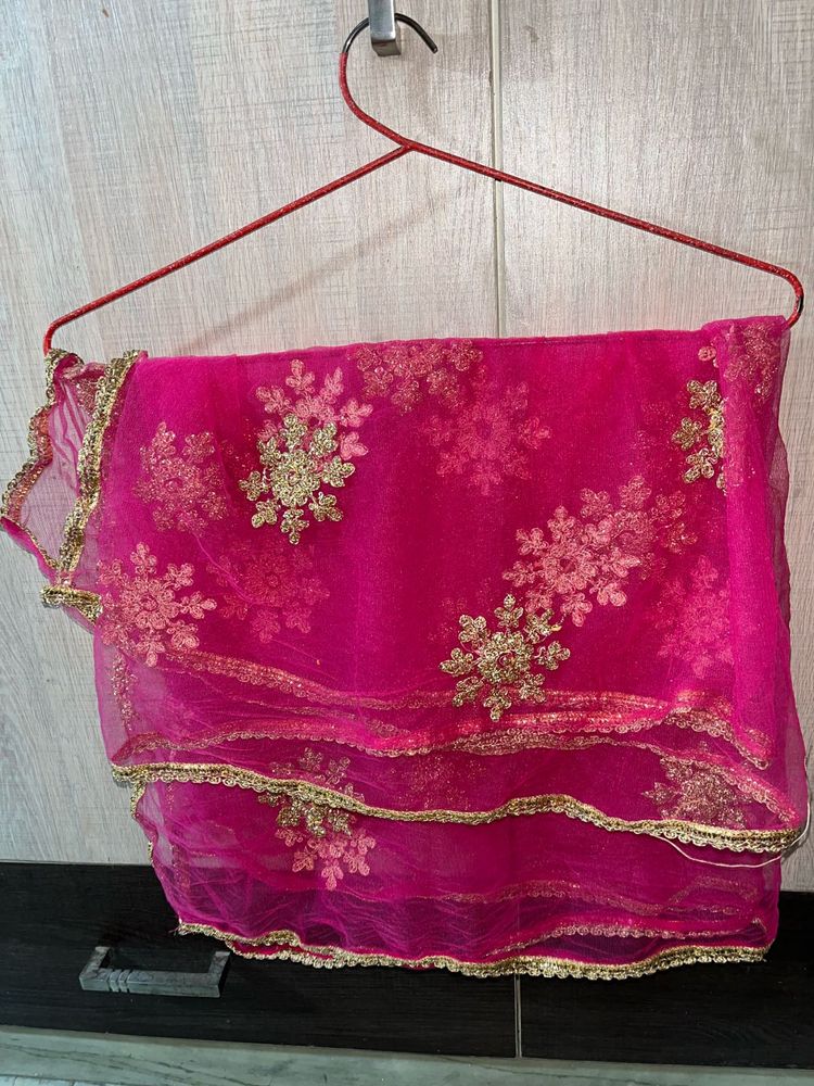 Hot Pink Net Dupatta with Gold Embroidery &amp; Lace