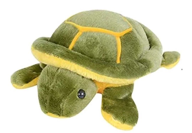 Turtle Plush Toy