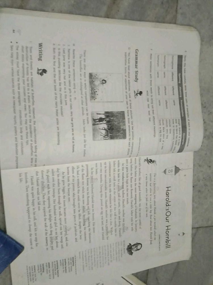 Class 8 Eng and Hindi Lit book