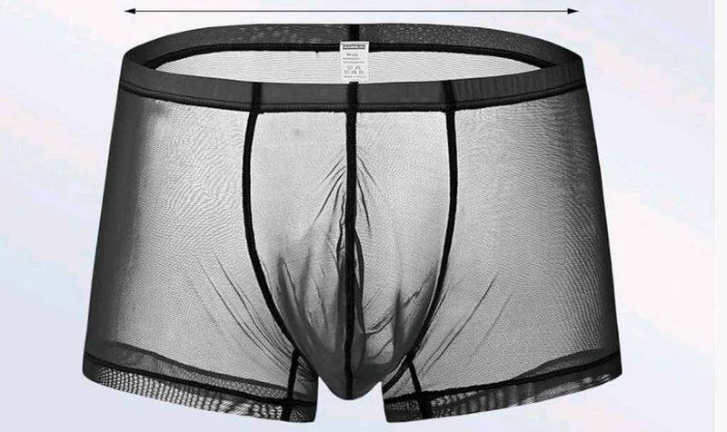 Sheer Mesh Boxer Briefs