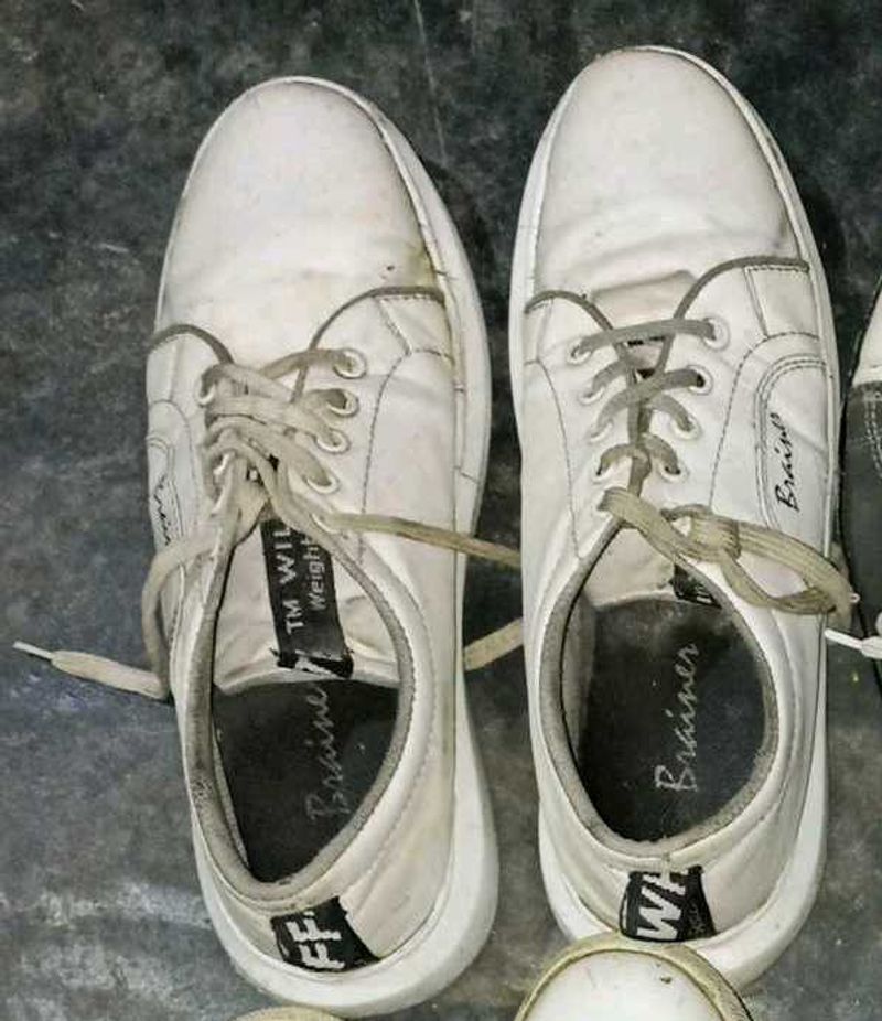 Sneaker Shoes