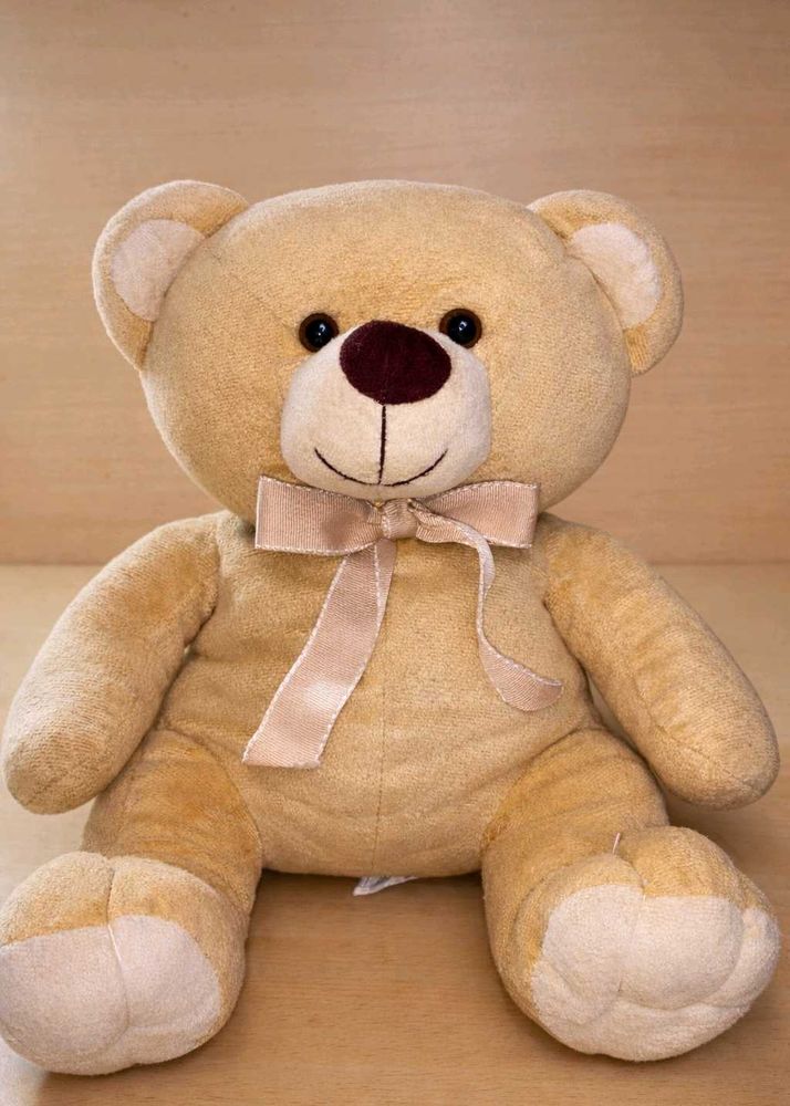 Cute Beige Teddy Bear