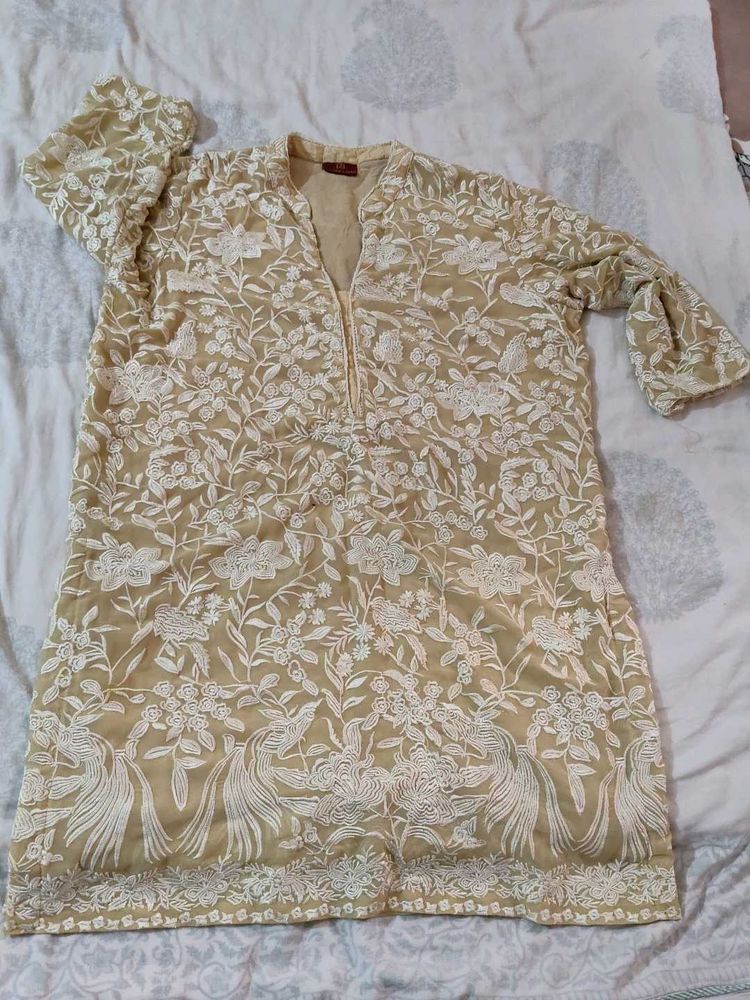 Elegant Embroidered Tunic