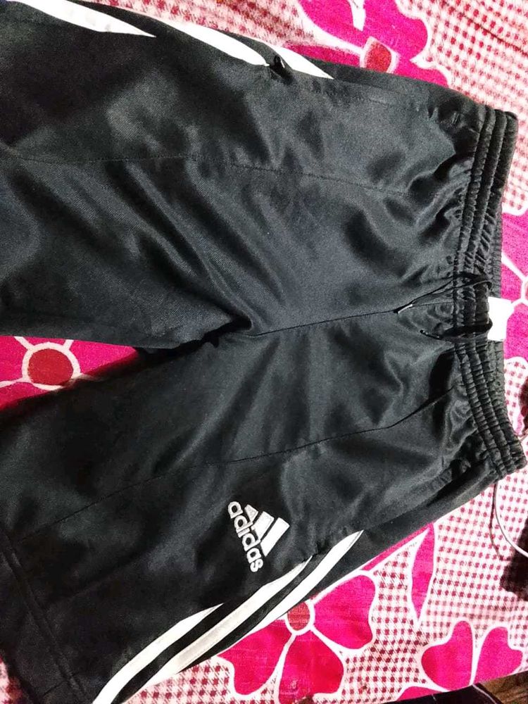 Adidas Training Shorts