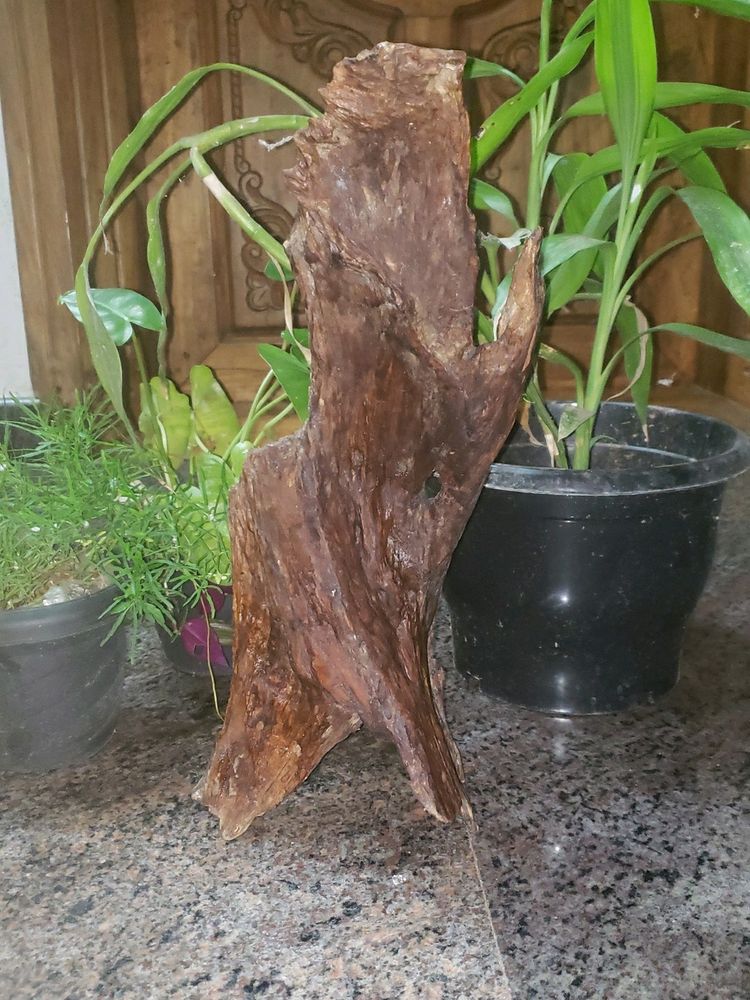 Home Made Thekk Wood Antic Look Hom Decorate Item