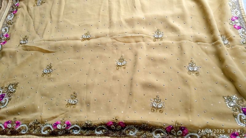 Elegant Embellished Saree
