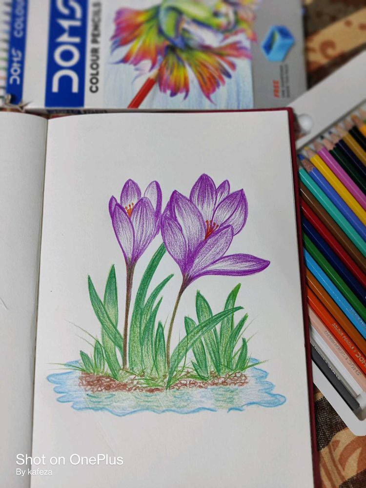 Floral Sketch