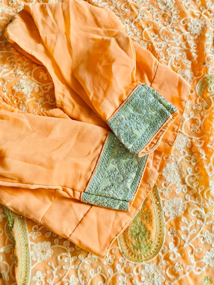 heavy peach embroidered saree