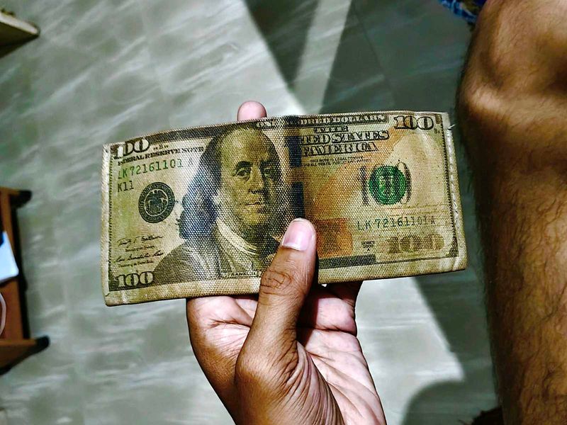 Novelty 100 Dollar Bill Wallet