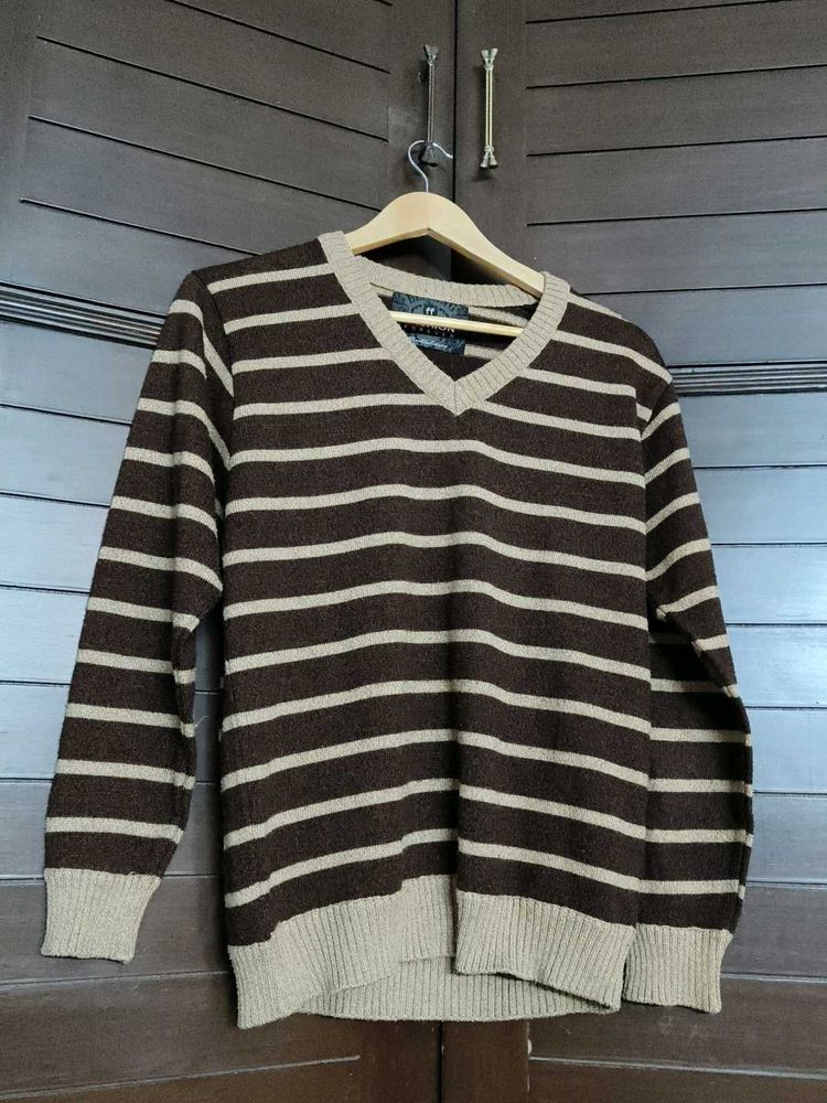 Men brown Striped V-Neck Sweater