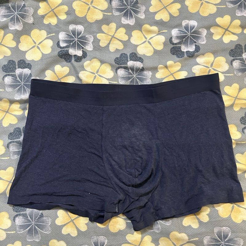 Boxer