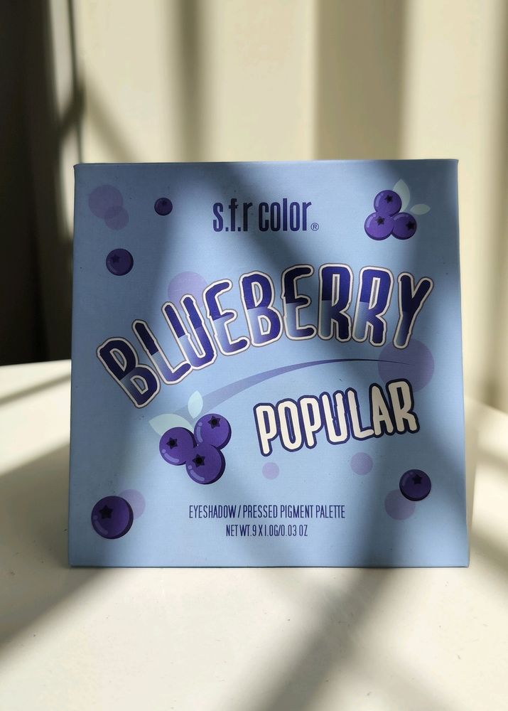 Sfr Color Blueberry Eyeshadow Palette