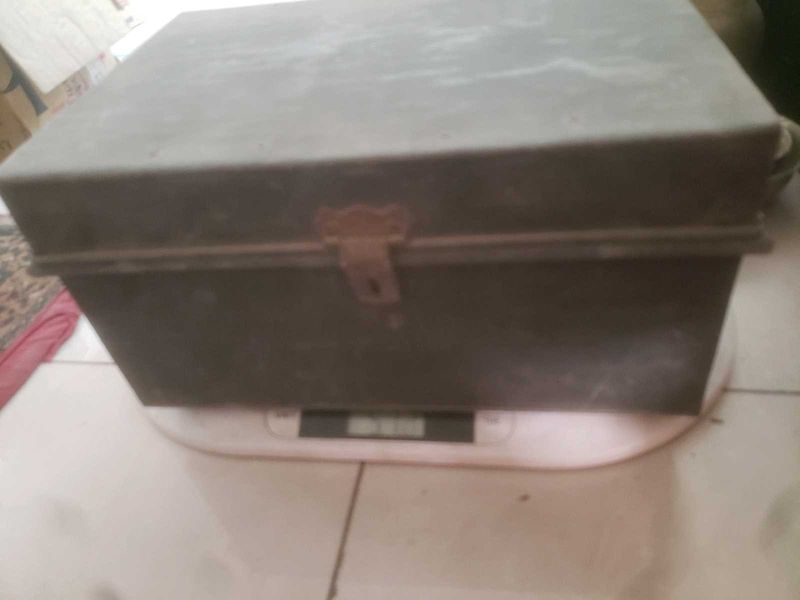 Vintage Trunk Iron Very Cute
