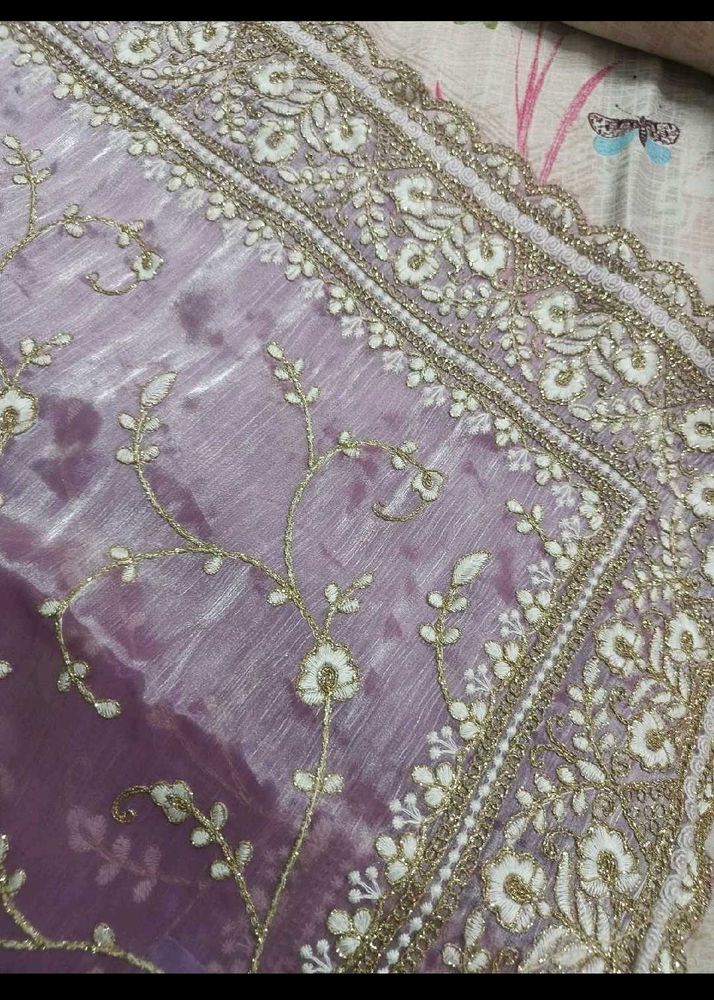 Elegant jimmy choo saree