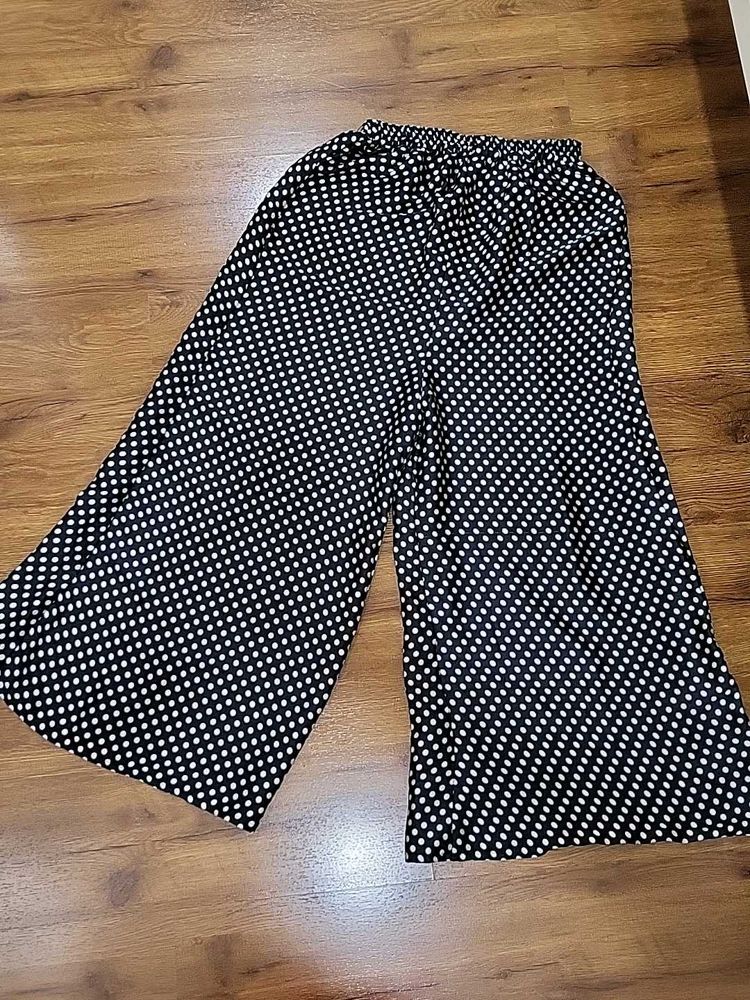 Polka Dot Plazzo