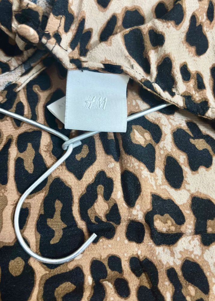 H&amp;M Leopard Print Dress