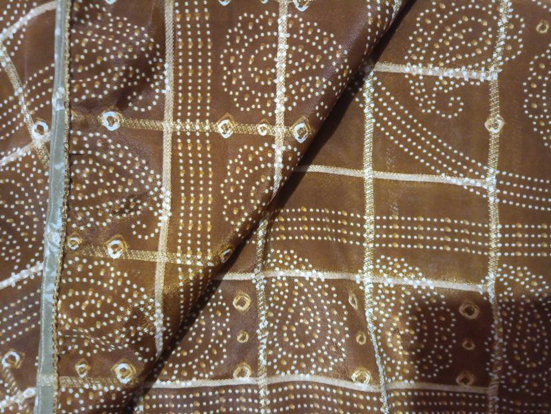 Vintage Brown Saree
