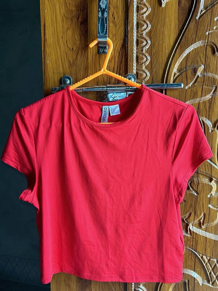 Short Sleeve Fitted Tshirt