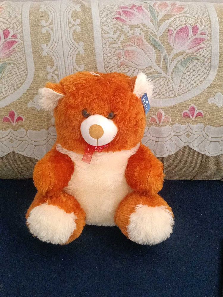 New Teddy Bear 🧸
