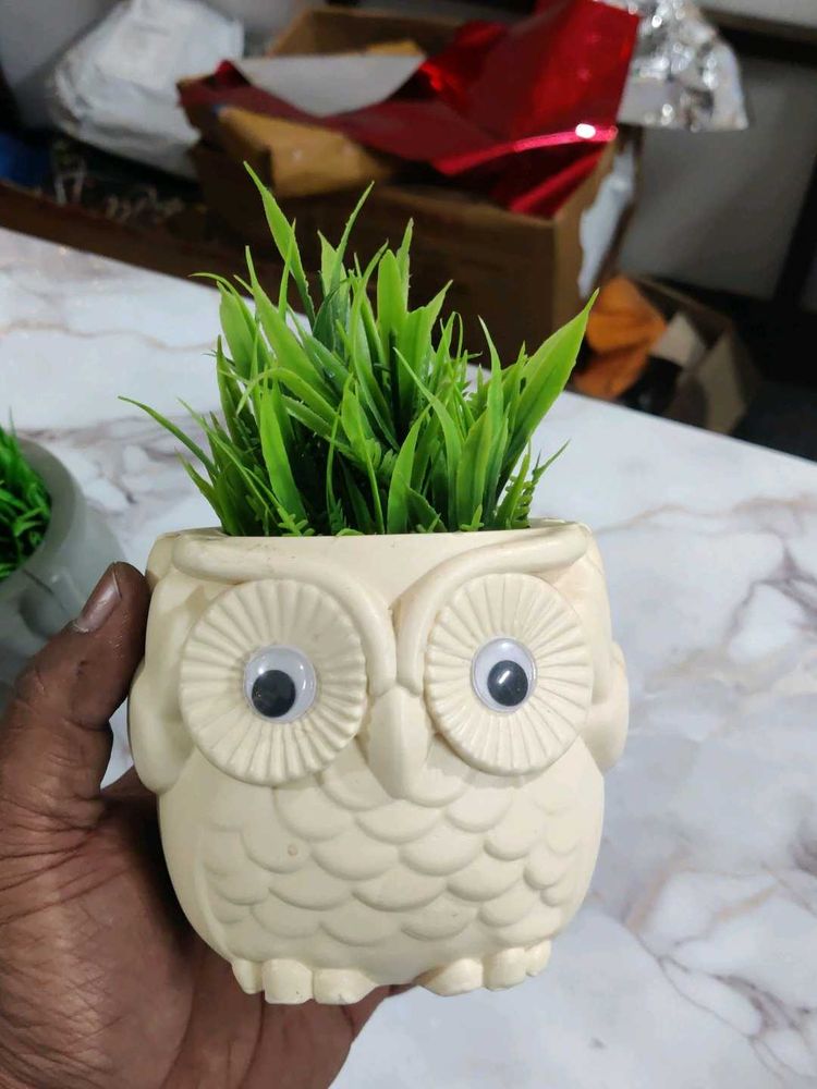 Beautiful Table Owl For Offfice Or Room Decoration