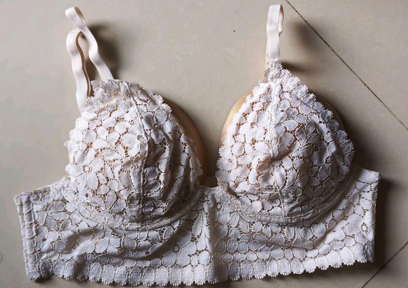 Beautiful Net Wired Bra