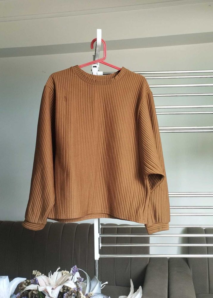 Earthy Brown long sleeve pullover