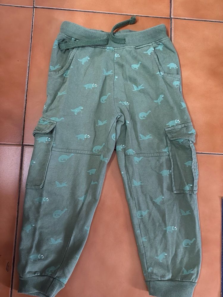 Dino Print Cargo Pants/trousers