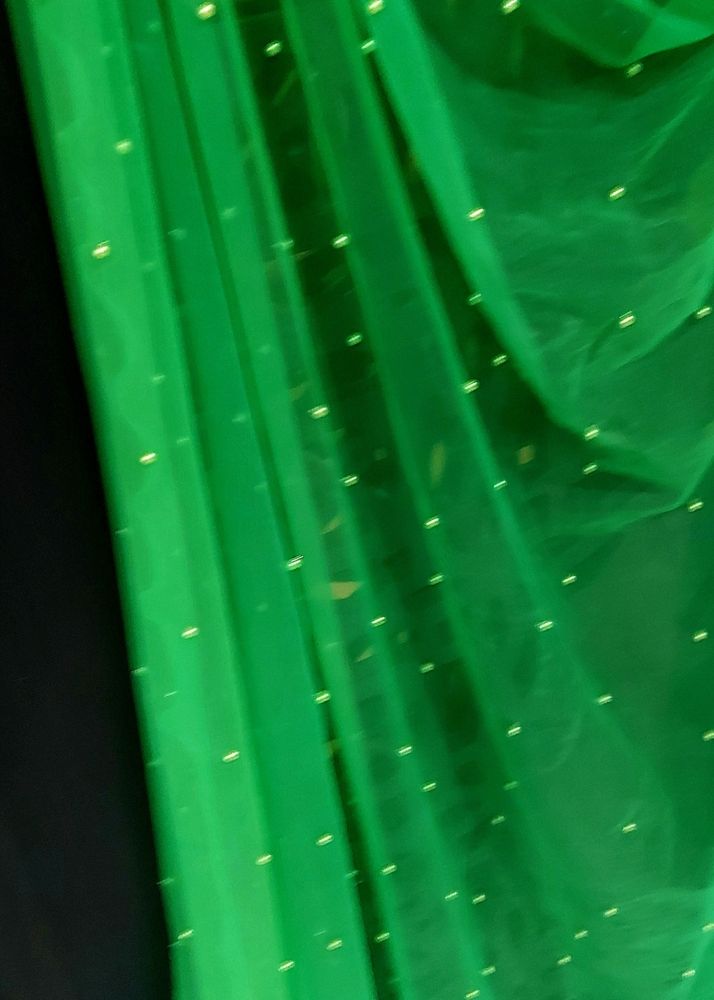Green Net Saree