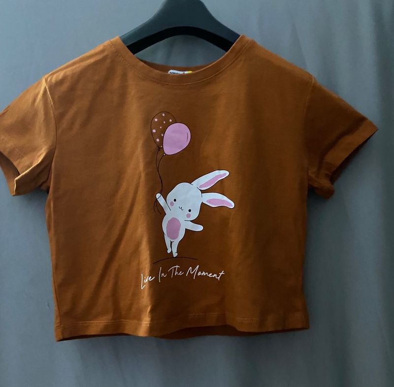 2 Cute Crop T-shirts