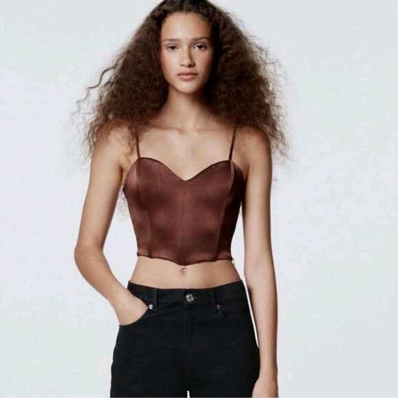 Zara Brown Corset Top