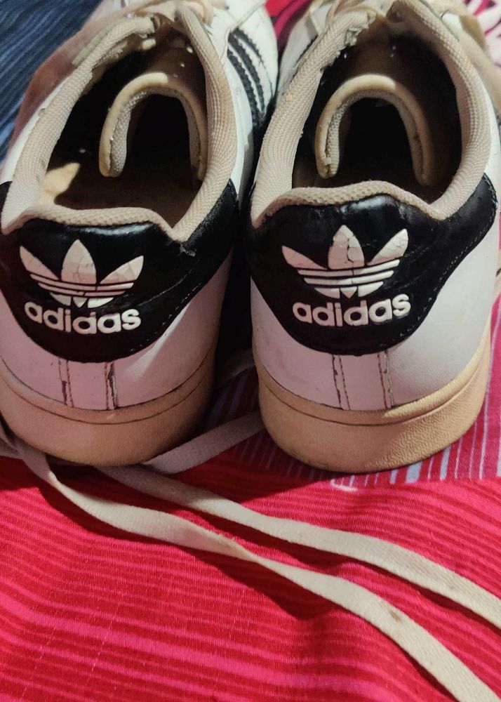 Adidas Sneakers