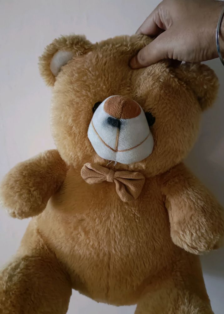 Teddy Bear Stuff Toy