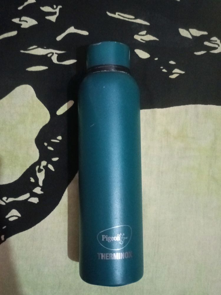 Pigeon Water Bottle