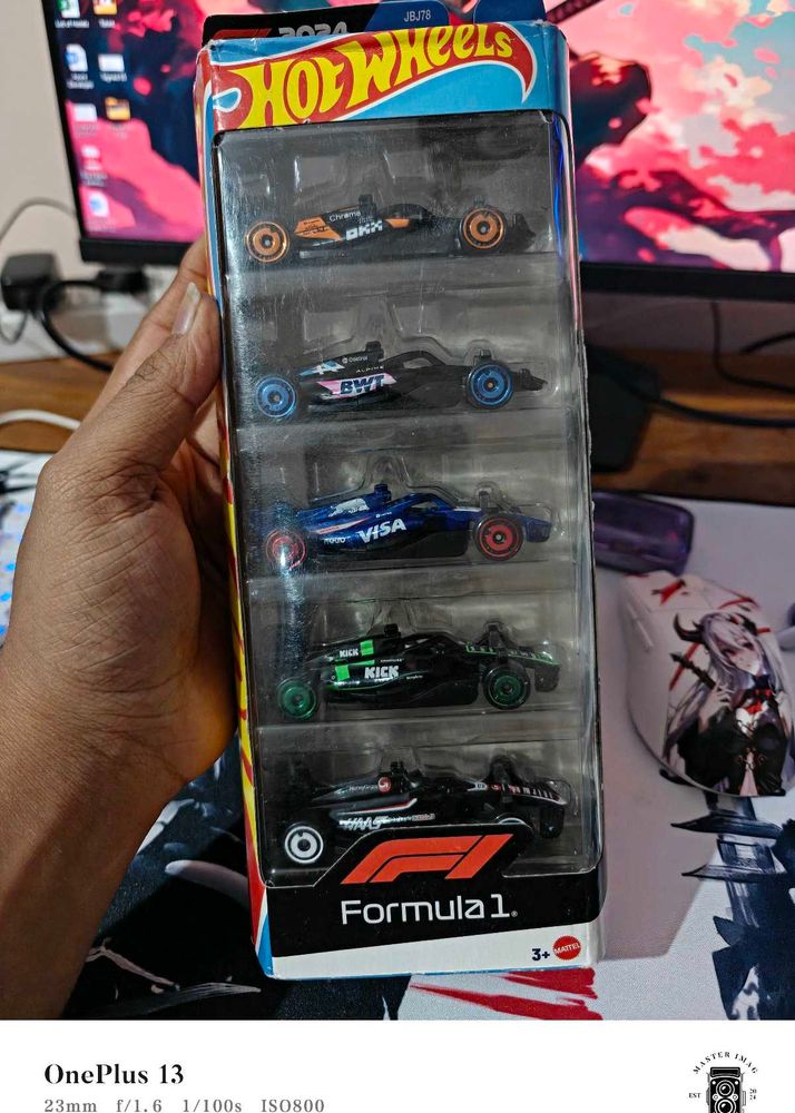Hot Wheels F1 Racing Set