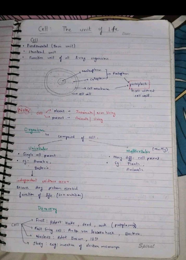 Bio 11th Notes