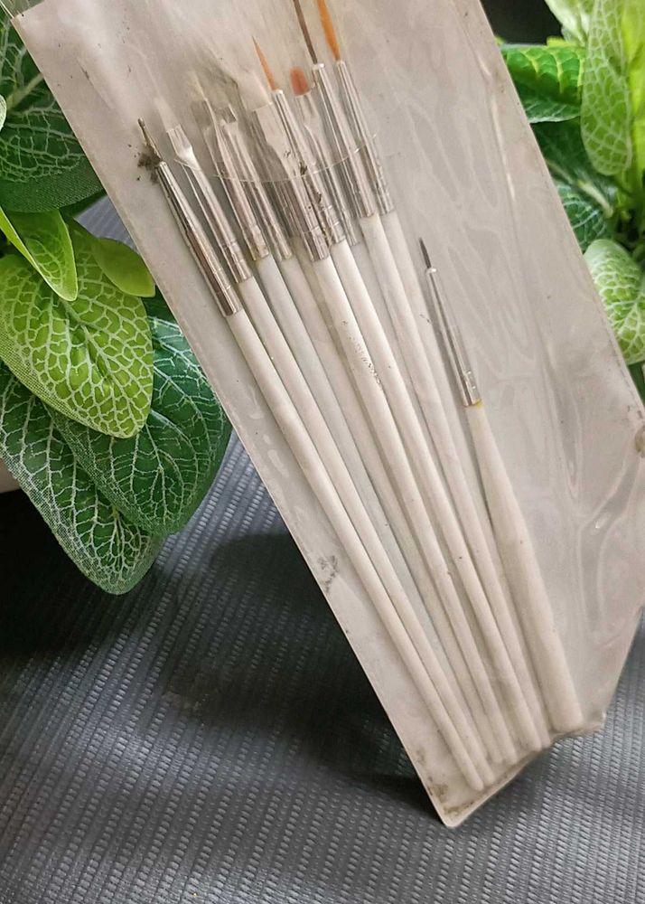 Nail Art Or makeup Brush Set