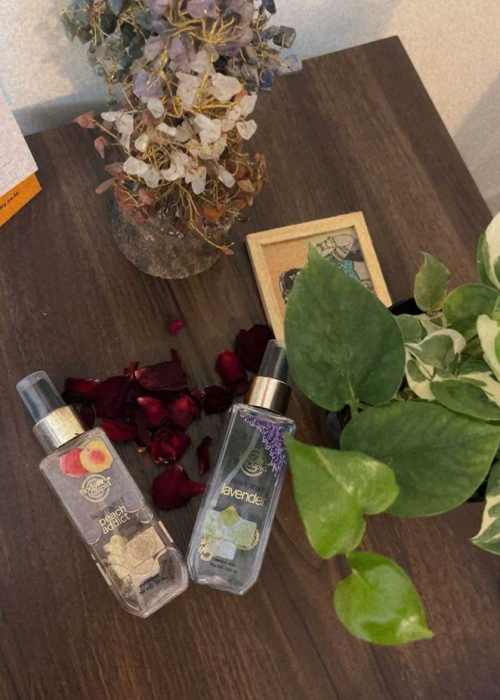 Price Drop Alert💥Bodycupid Mist