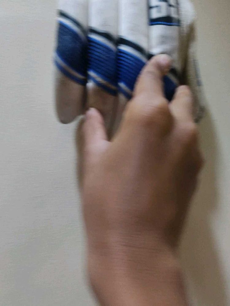 Cricket batting Gloves
