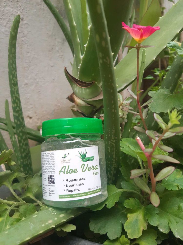 Groovs Aloe Vera Gel