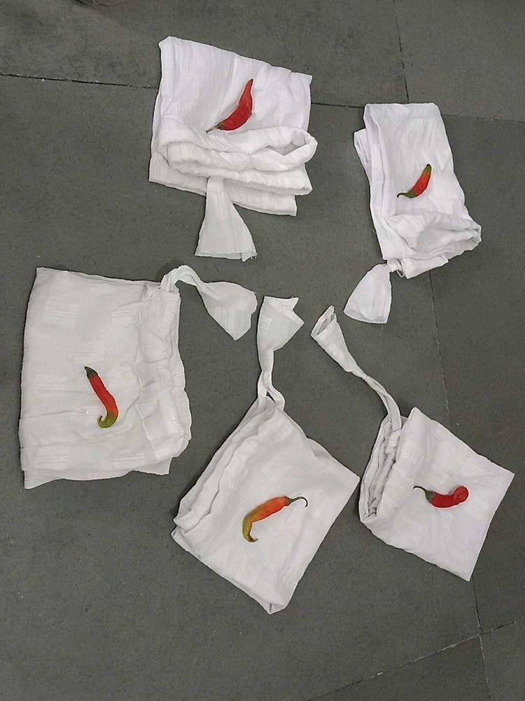 Vegetable Carry Bag