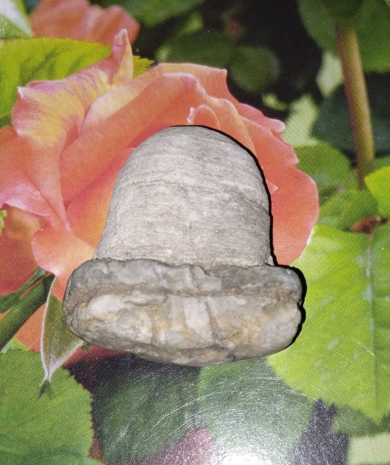 Lord Shiva natural Shivling