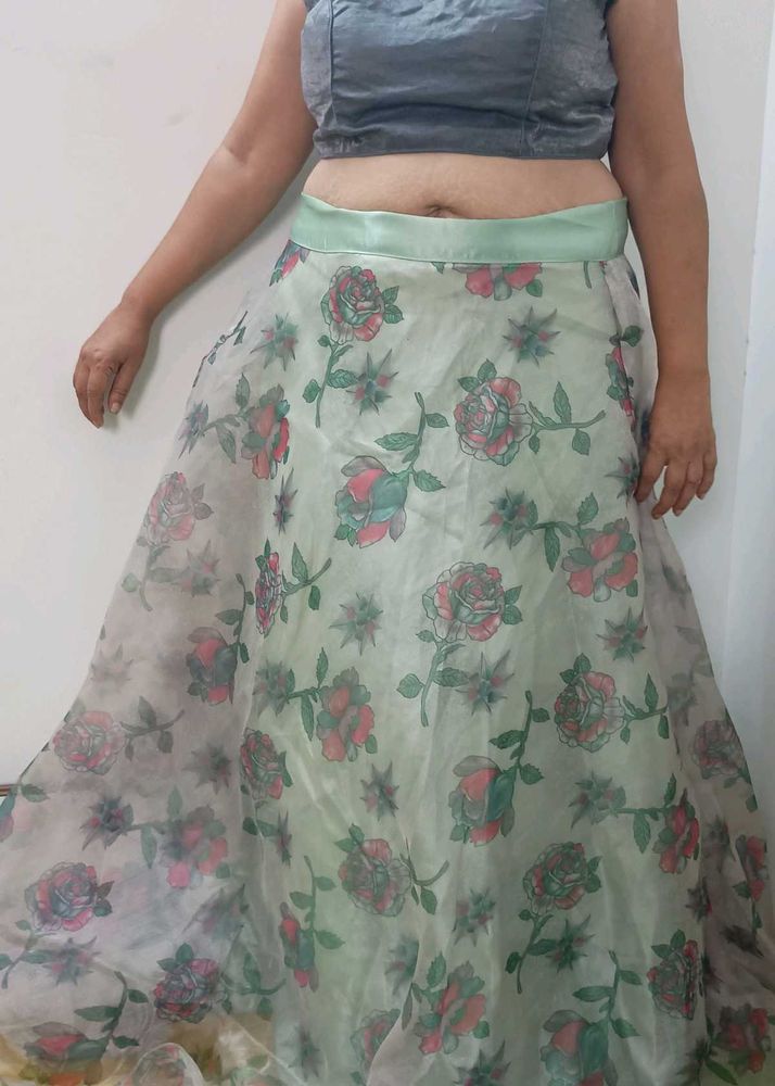 Organza Skirt With Blouse