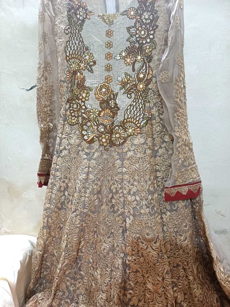 Elegant Ethnic Gown Size 26