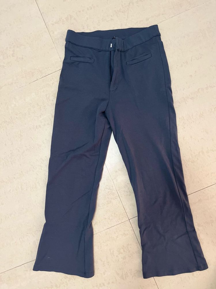 Professinal Trouser