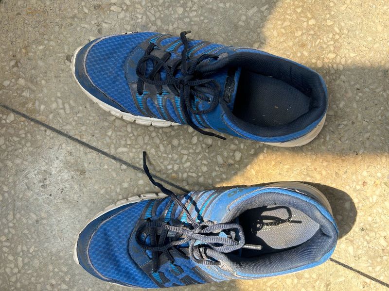 Lotto Running Shoes