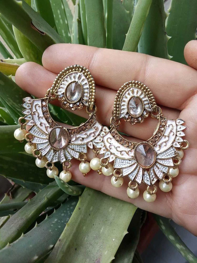 New Erring Stud