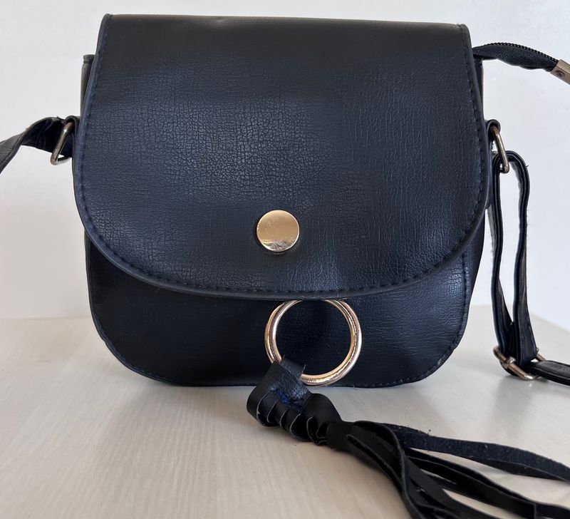 Price Dropped : BLACK BEAUTY Flap Sling bag